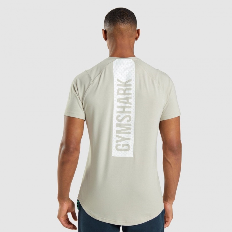 μπλουζακια Gymshark Bold γκρι | 078YNBKQO
