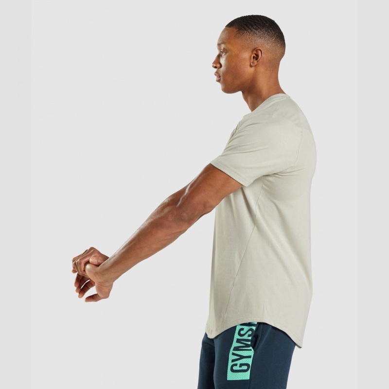 μπλουζακια Gymshark Bold γκρι | 078YNBKQO