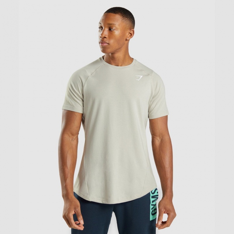 μπλουζακια Gymshark Bold γκρι | 078YNBKQO