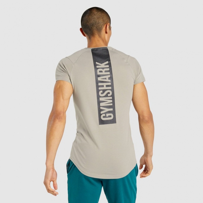 μπλουζακια Gymshark Bold γκρι | 085GOHLAY