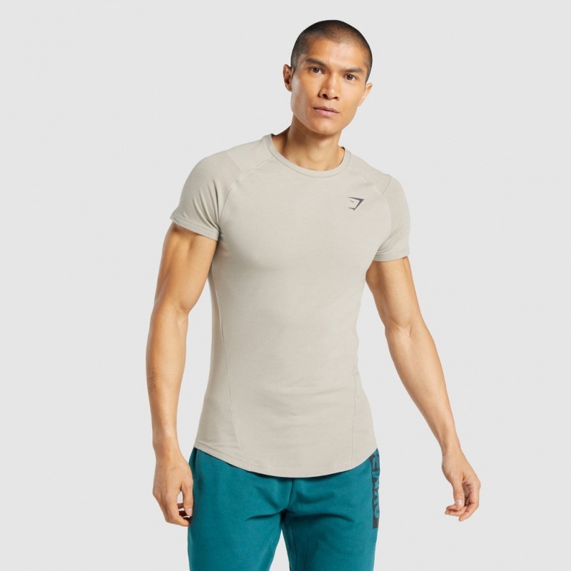 μπλουζακια Gymshark Bold γκρι | 085GOHLAY