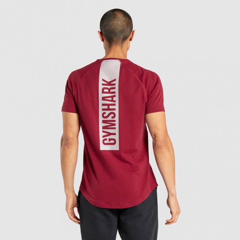 μπλουζακια Gymshark Bold μπορντο | 104QKMEJO