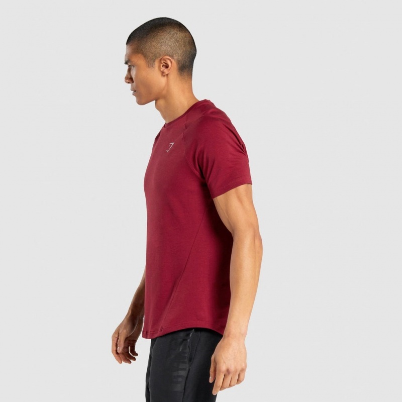 μπλουζακια Gymshark Bold μπορντο | 104QKMEJO