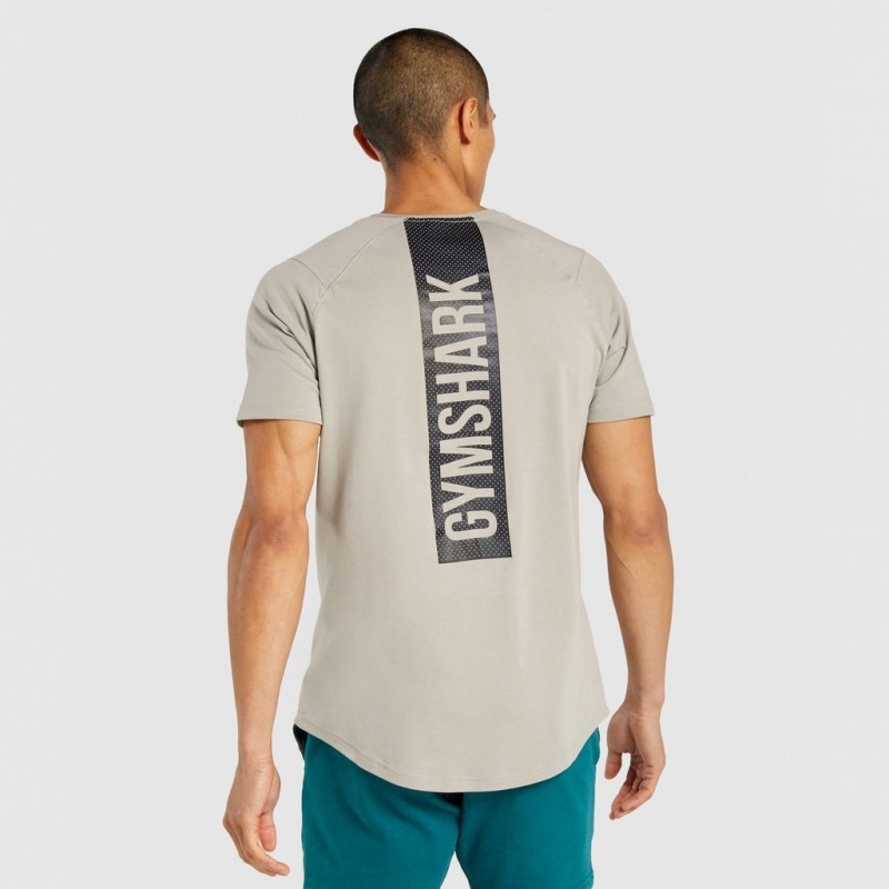 μπλουζακια Gymshark Bold γκρι | 164TEUWOR