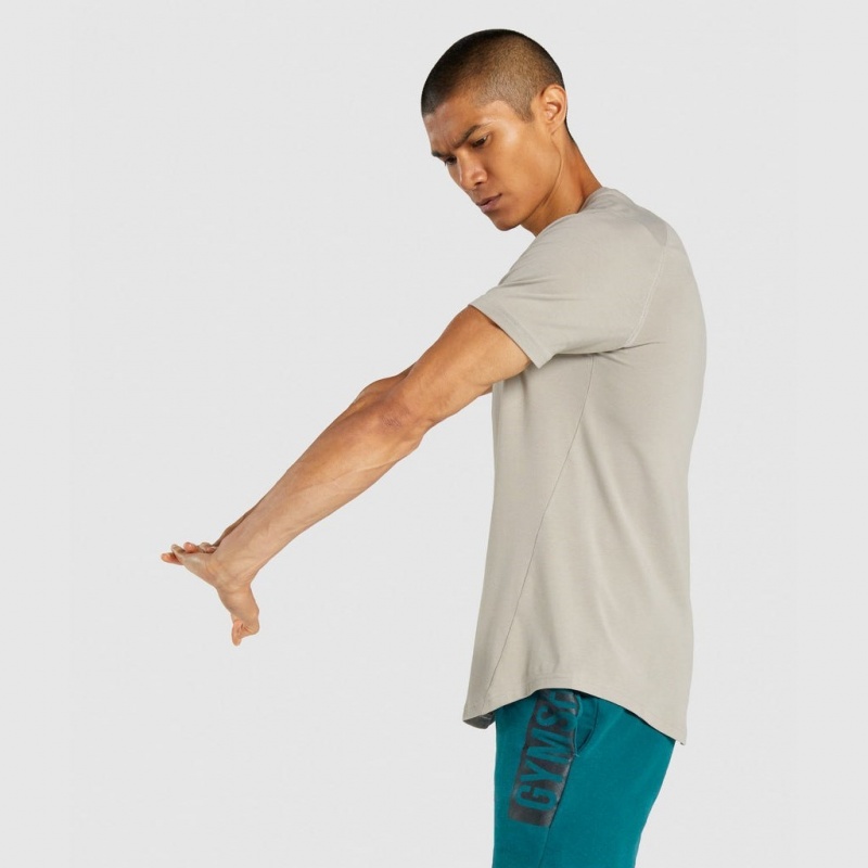 μπλουζακια Gymshark Bold γκρι | 164TEUWOR