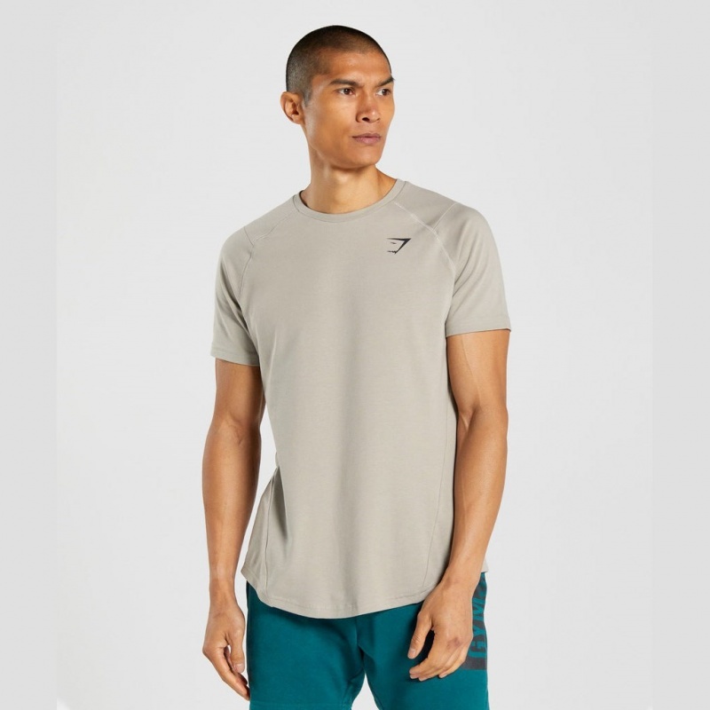 μπλουζακια Gymshark Bold γκρι | 164TEUWOR