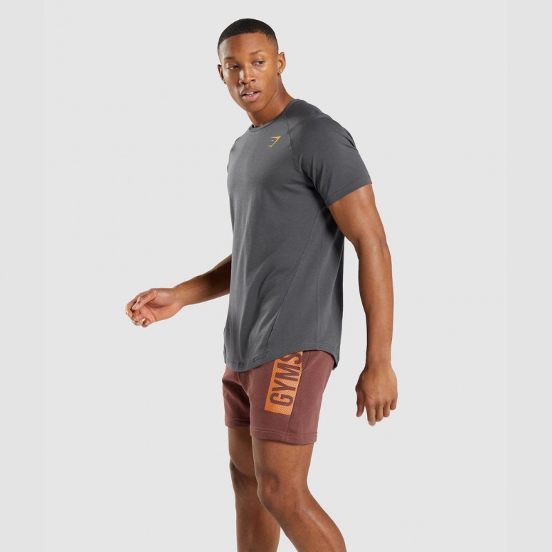 μπλουζακια Gymshark Bold γκρι | 296YGFRUP