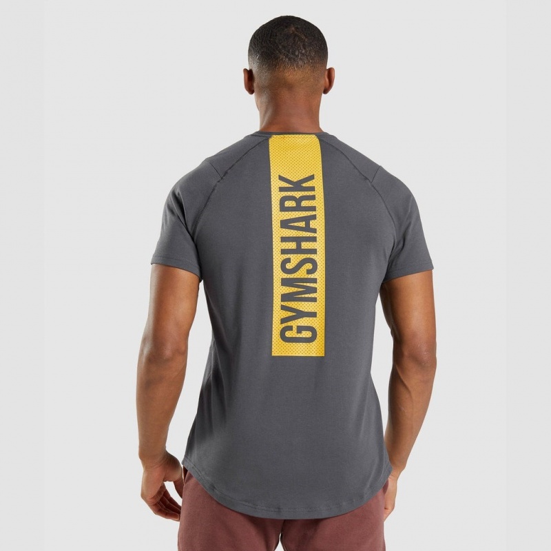 μπλουζακια Gymshark Bold γκρι | 296YGFRUP