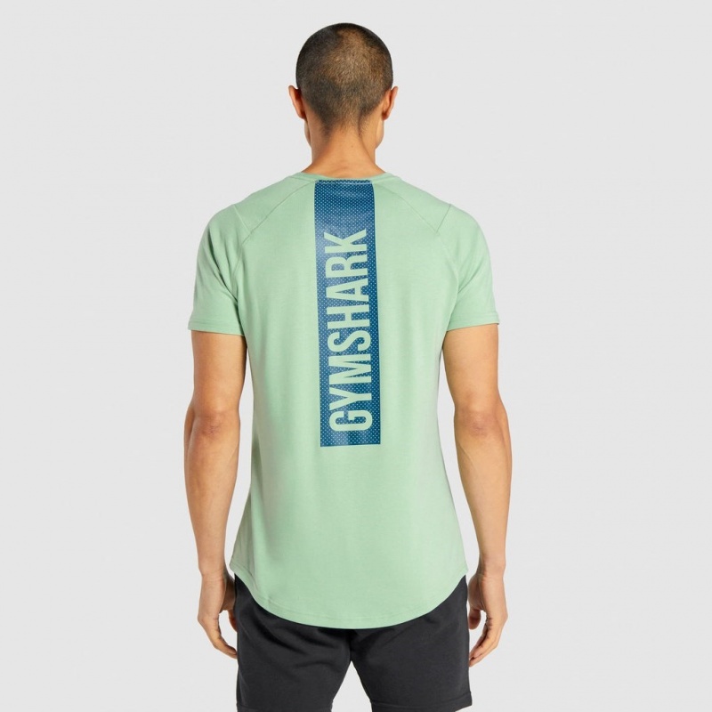 μπλουζακια Gymshark Bold πρασινο | 715KYSGDT