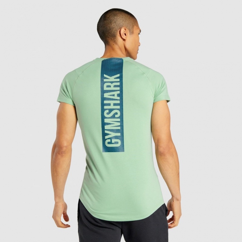 μπλουζακια Gymshark Bold πρασινο | 802SCZYAJ