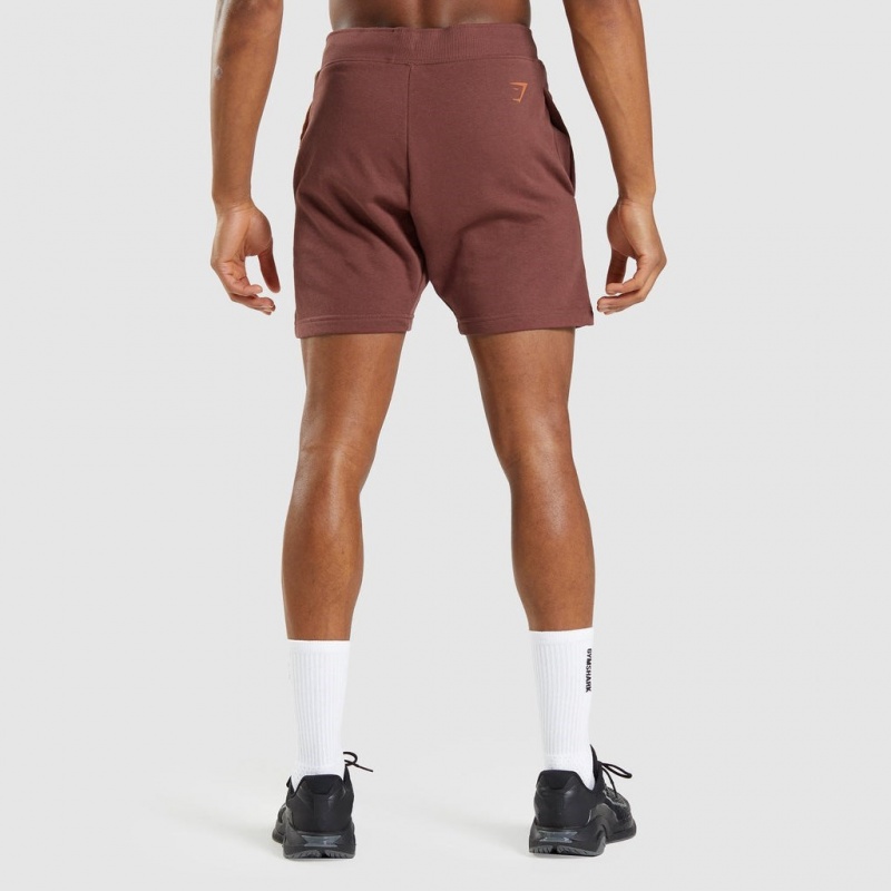 Σορτσ Gymshark Bold καφε | 872MIUTEC
