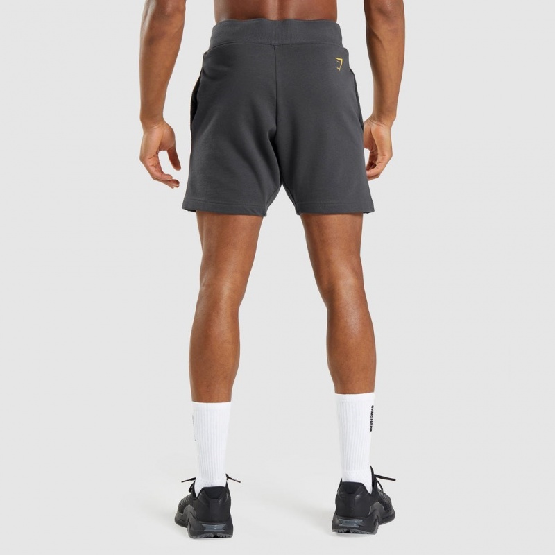 Σορτσ Gymshark Bold γκρι | 910HILKWF