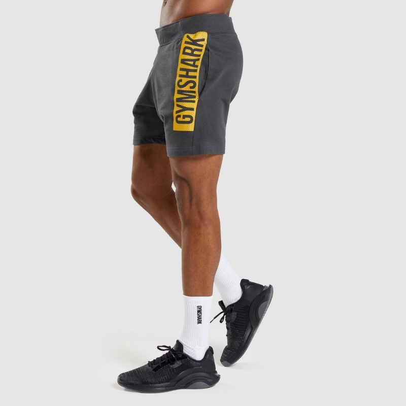 Σορτσ Gymshark Bold γκρι | 910HILKWF
