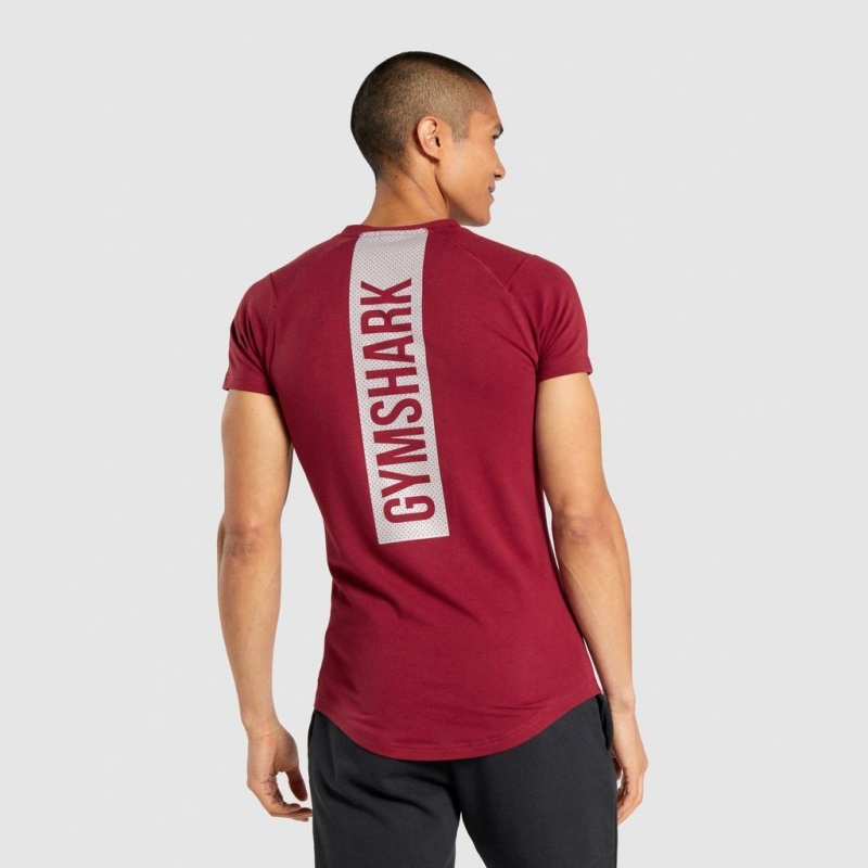 μπλουζακια Gymshark Bold μπορντο | 913HJMKCX
