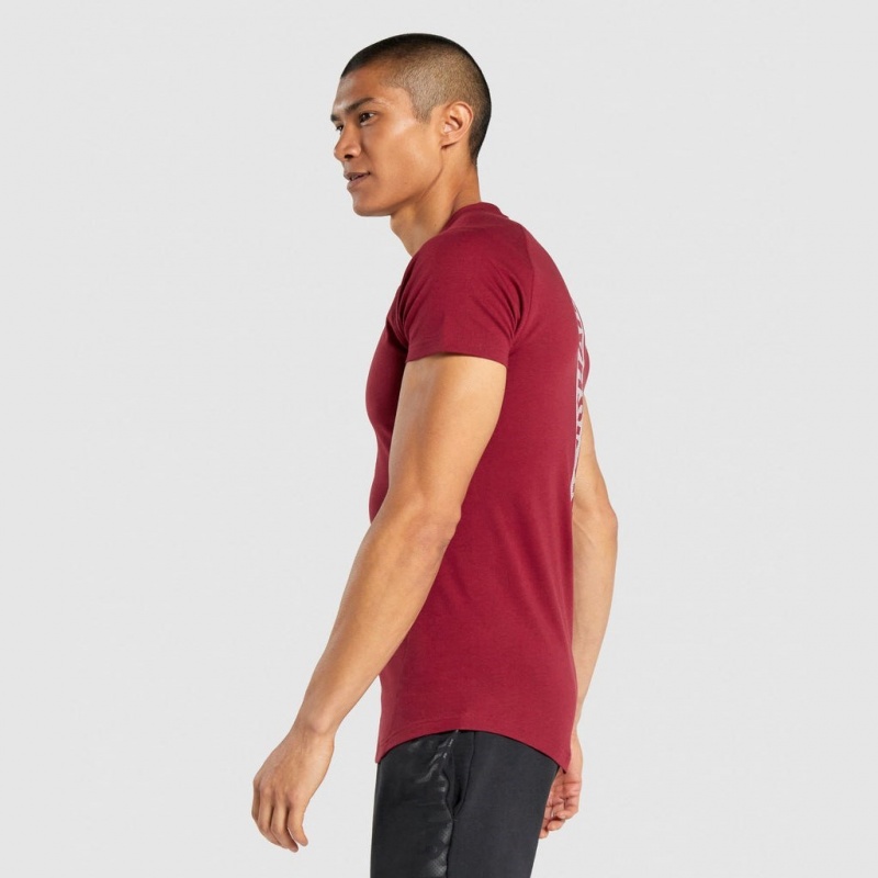 μπλουζακια Gymshark Bold μπορντο | 913HJMKCX
