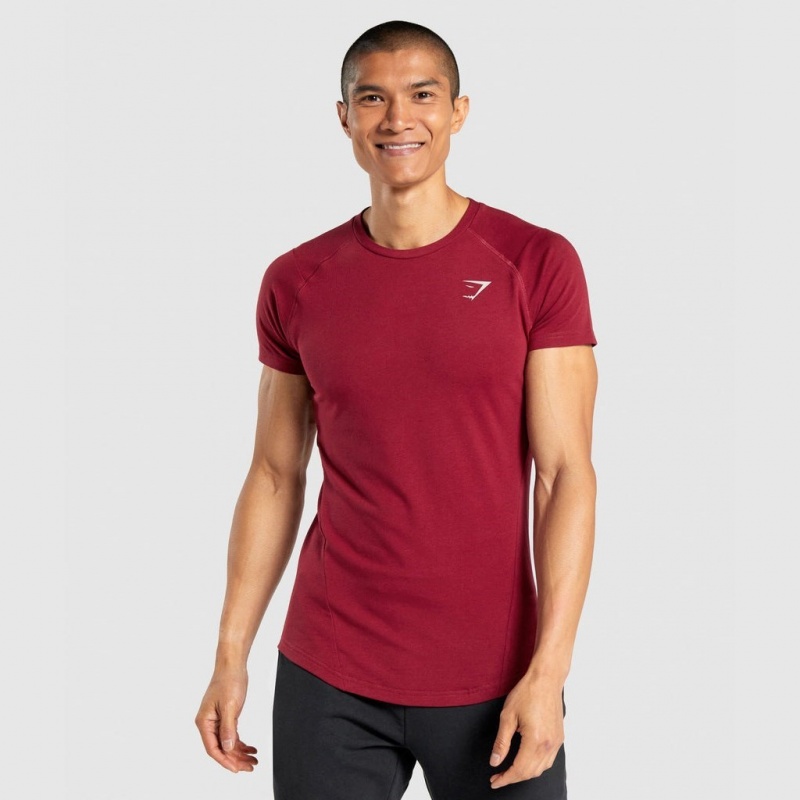 μπλουζακια Gymshark Bold μπορντο | 913HJMKCX