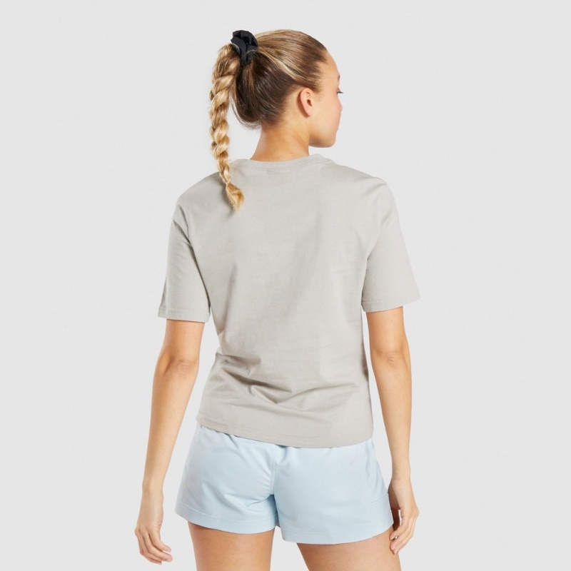μπλουζακια Gymshark CTY γκρι | 802OMNGKC