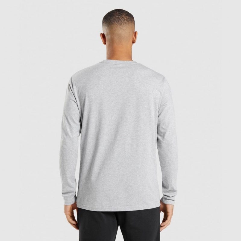 μπλουζακια Gymshark Crest Long Sleeve ανοιχτο γκρι | 875JLKQFC