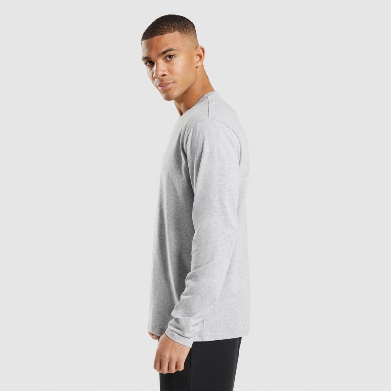 μπλουζακια Gymshark Crest Long Sleeve ανοιχτο γκρι | 875JLKQFC