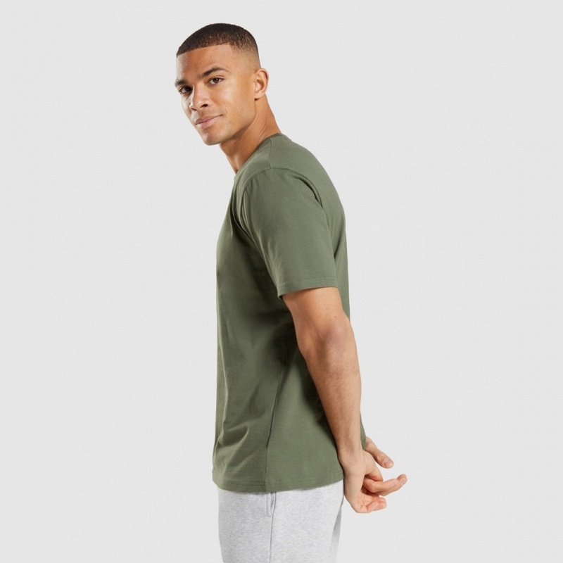 μπλουζακια Gymshark Crest Ελιά | 679WSDXRV