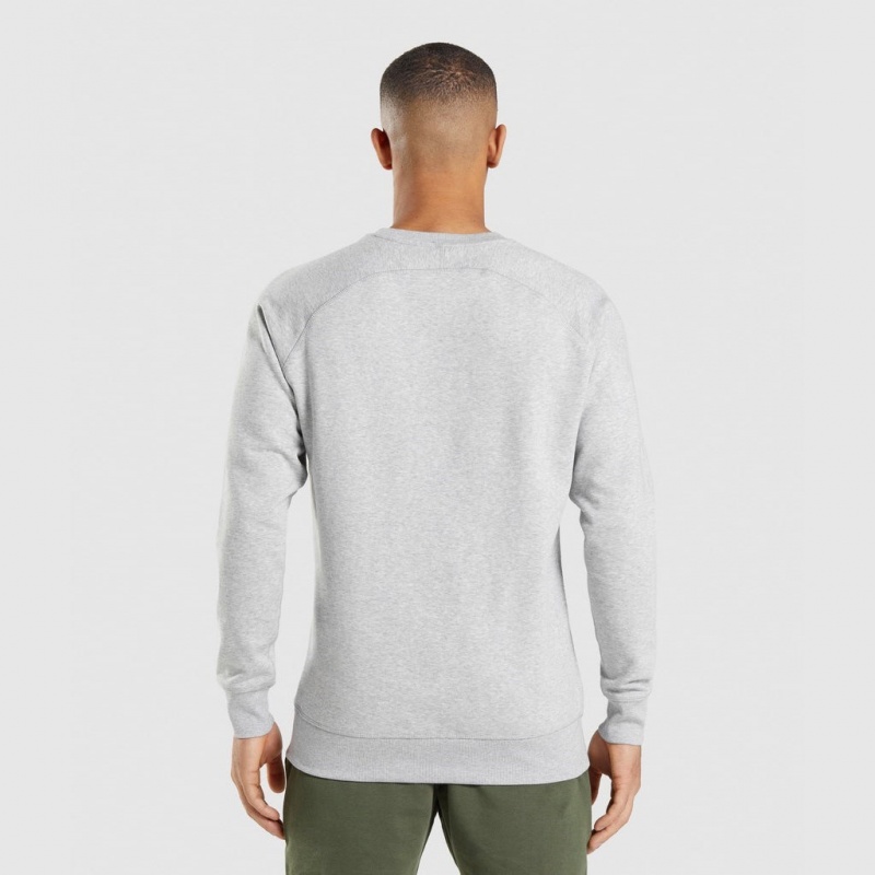 Φουτερ Gymshark Crest ανοιχτο γκρι | 257NGEYQF