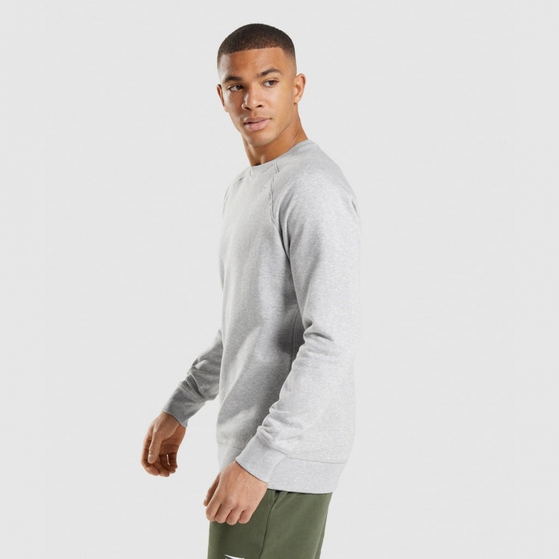 Φουτερ Gymshark Crest ανοιχτο γκρι | 257NGEYQF
