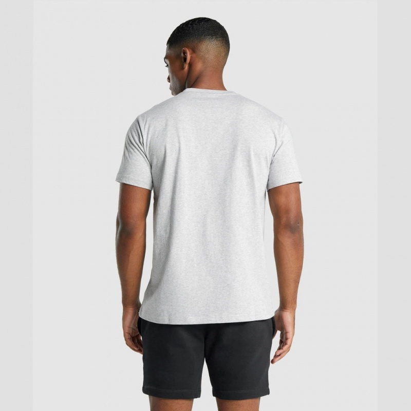 μπλουζακια Gymshark Crest ανοιχτο γκρι | 745DIQJSU