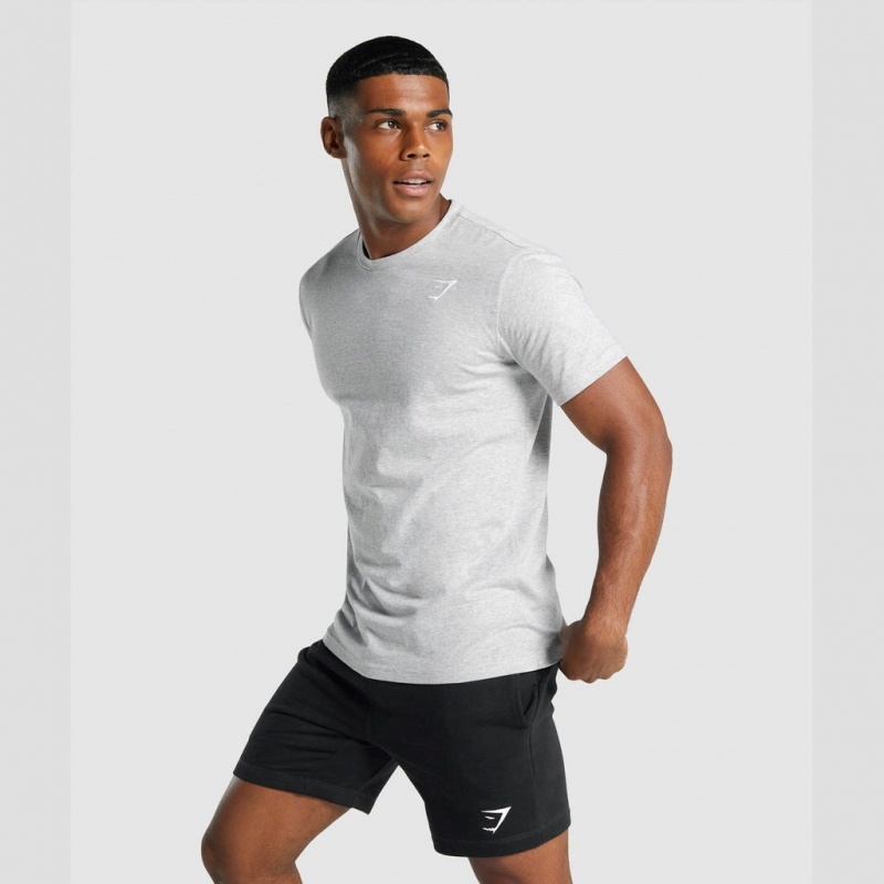 μπλουζακια Gymshark Crest ανοιχτο γκρι | 745DIQJSU