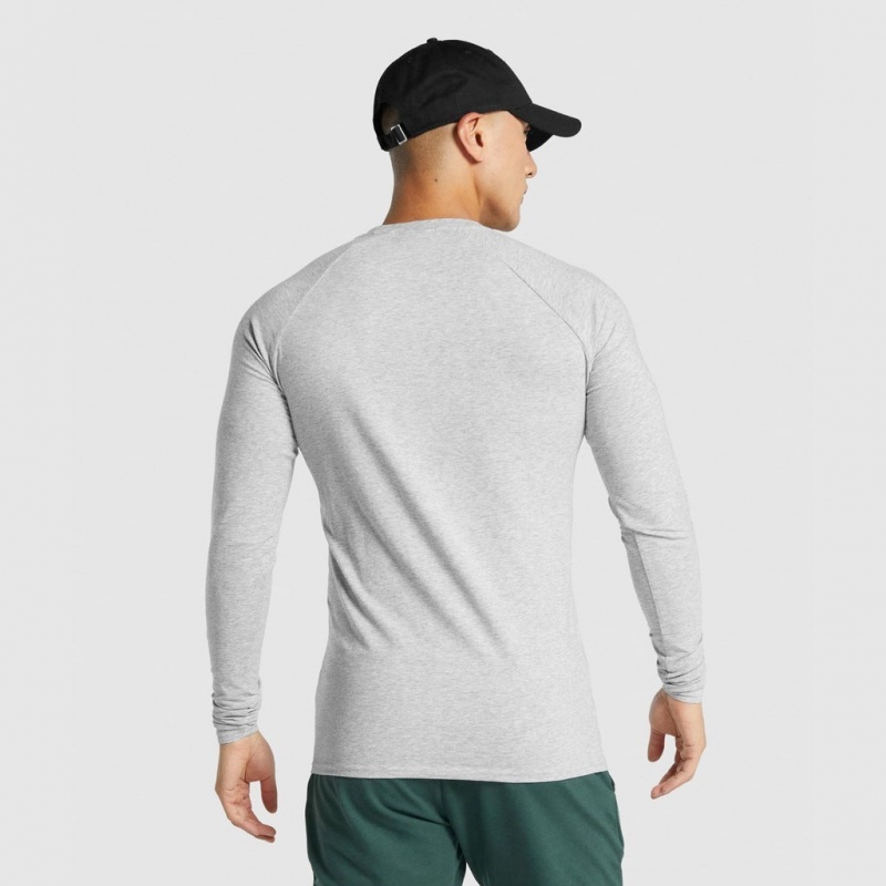 μπλουζακια Gymshark Critical 2.0 Long Sleeve ανοιχτο γκρι | 485ZBETXK