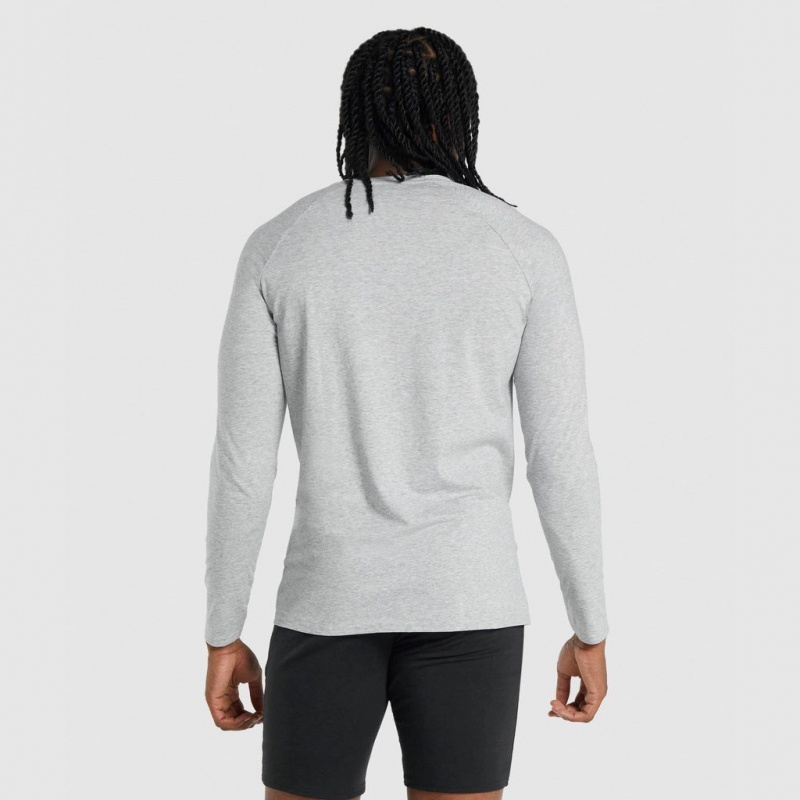 μπλουζακια Gymshark Critical 2.0 Long Sleeve ανοιχτο γκρι | 957PCBAQU