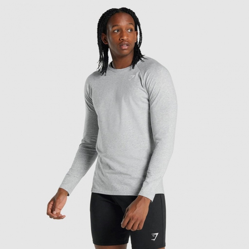 μπλουζακια Gymshark Critical 2.0 Long Sleeve ανοιχτο γκρι | 957PCBAQU