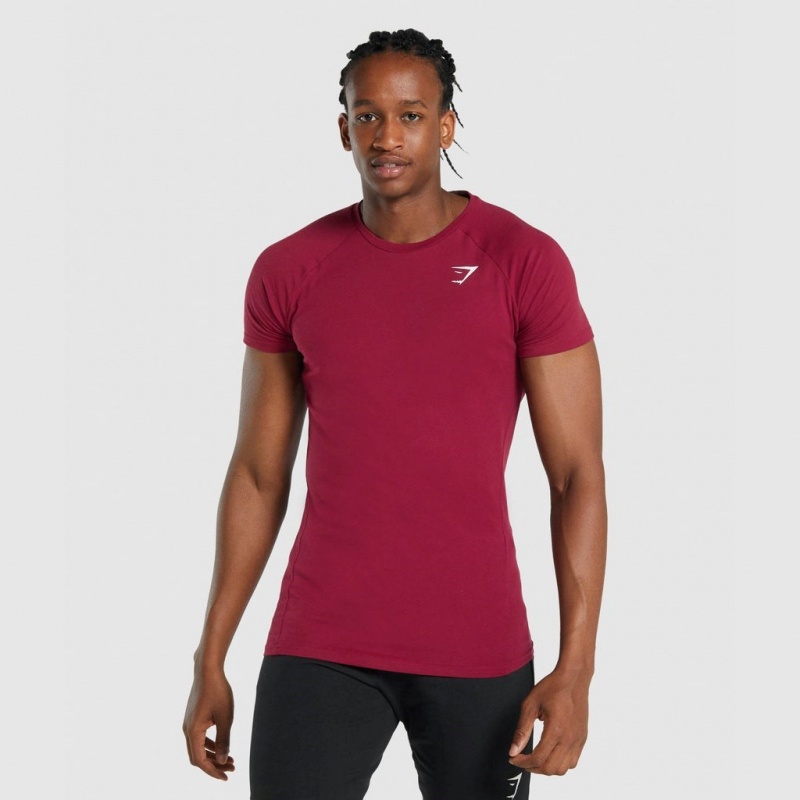 μπλουζακια Gymshark Critical 2.0 μπορντο | 084CHGOZQ
