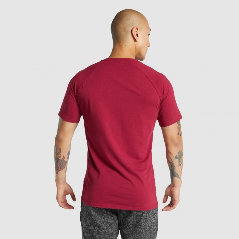 μπλουζακια Gymshark Critical 2.0 μπορντο | 857YMCBJE
