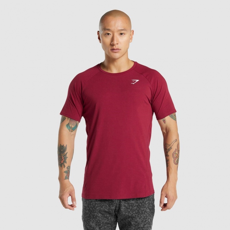 μπλουζακια Gymshark Critical 2.0 μπορντο | 857YMCBJE