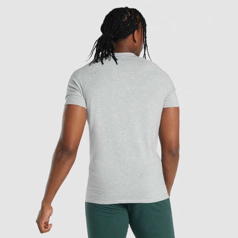 μπλουζακια Gymshark Critical 2.0 ανοιχτο γκρι | 128RJWZYB