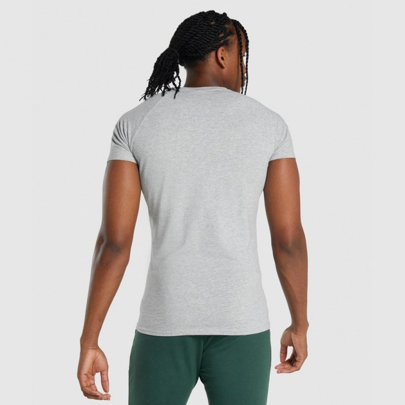 μπλουζακια Gymshark Critical 2.0 ανοιχτο γκρι | 924ADGRSL