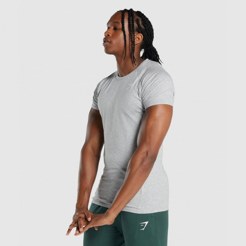 μπλουζακια Gymshark Critical 2.0 ανοιχτο γκρι | 924ADGRSL