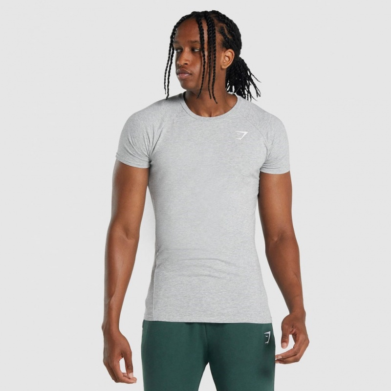 μπλουζακια Gymshark Critical 2.0 ανοιχτο γκρι | 924ADGRSL