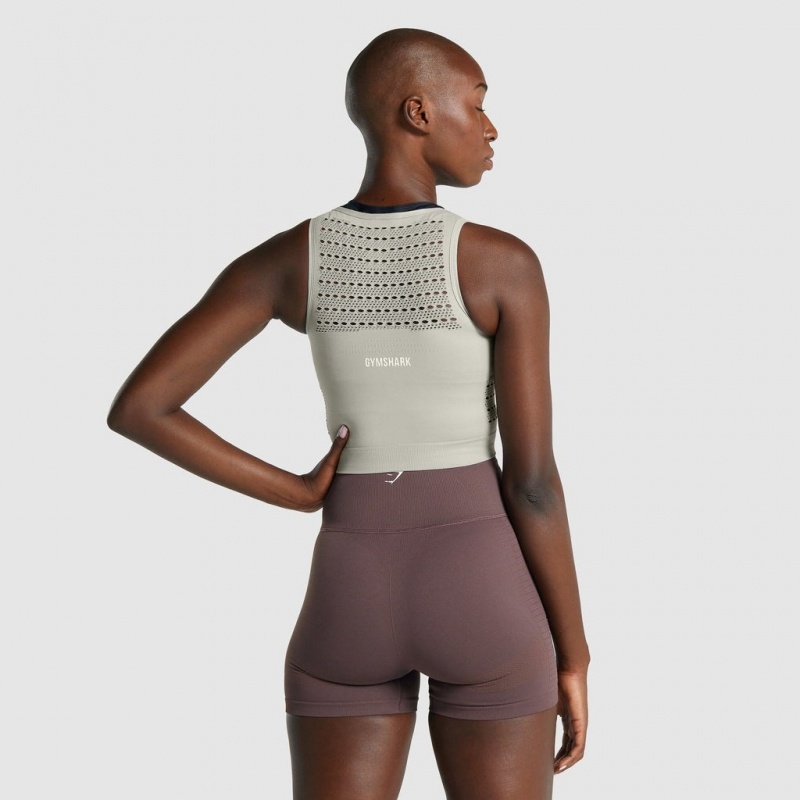 μπλουζακια Gymshark Energy Seamless Crop ανοιχτο γκρι | 502EMPSJT