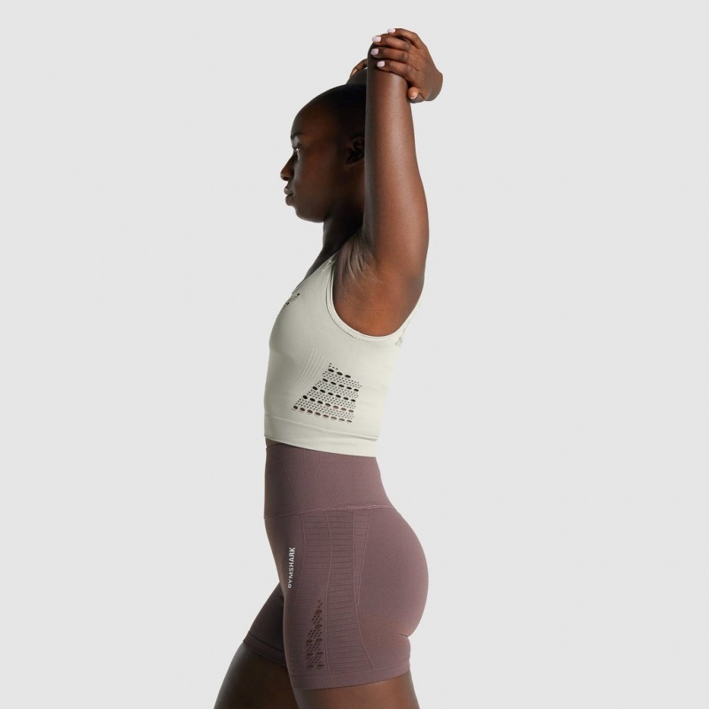 μπλουζακια Gymshark Energy Seamless Crop ανοιχτο γκρι | 502EMPSJT