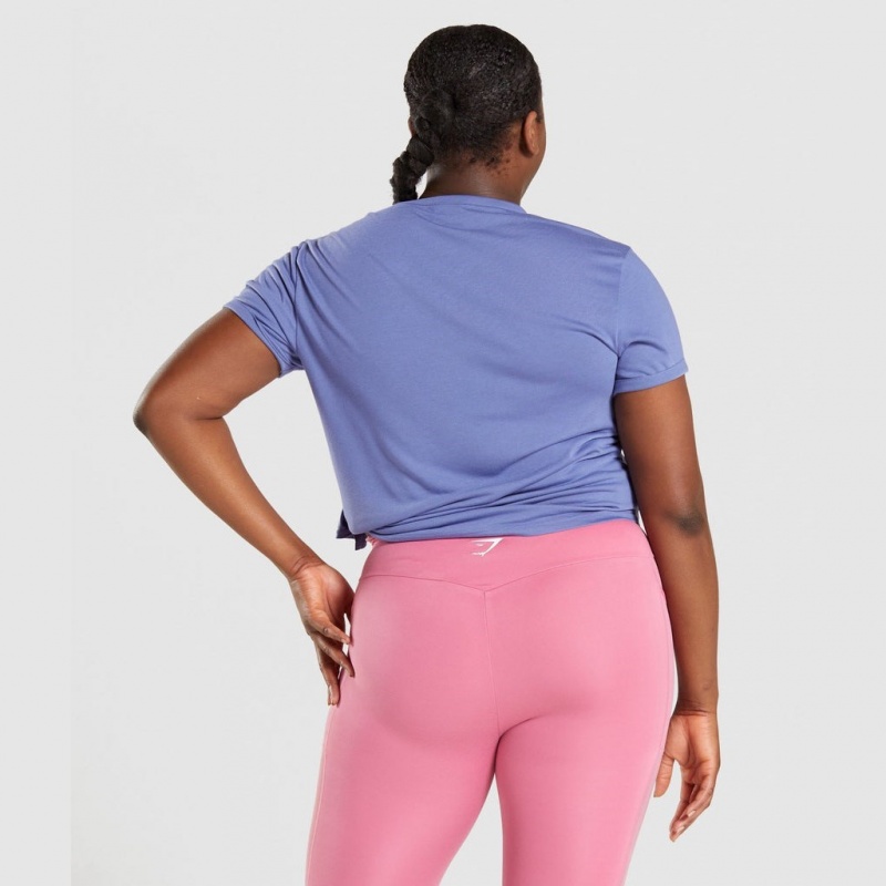 μπλουζακια Gymshark Essential Tee μπλε | 259FUSRXZ