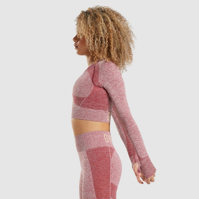 μπλουζακια Gymshark Flex Sports Long Sleeve Crop μπορντο | 014CSABEQ