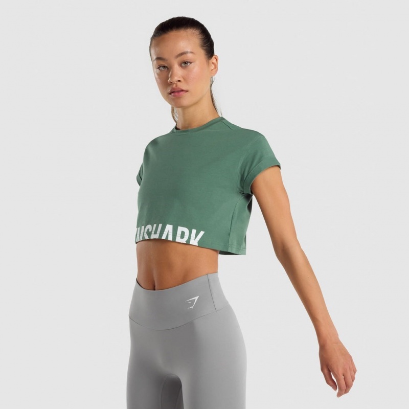 μπλουζακια Gymshark Fraction Crop πρασινο | 064QZCDFY