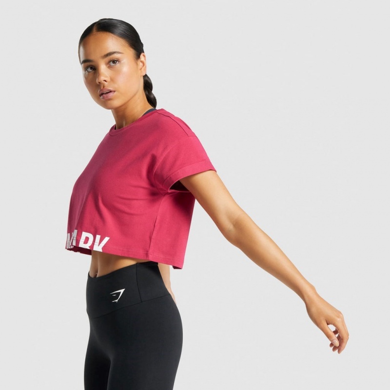 μπλουζακια Gymshark Fraction Crop ροζ | 248USWLXI