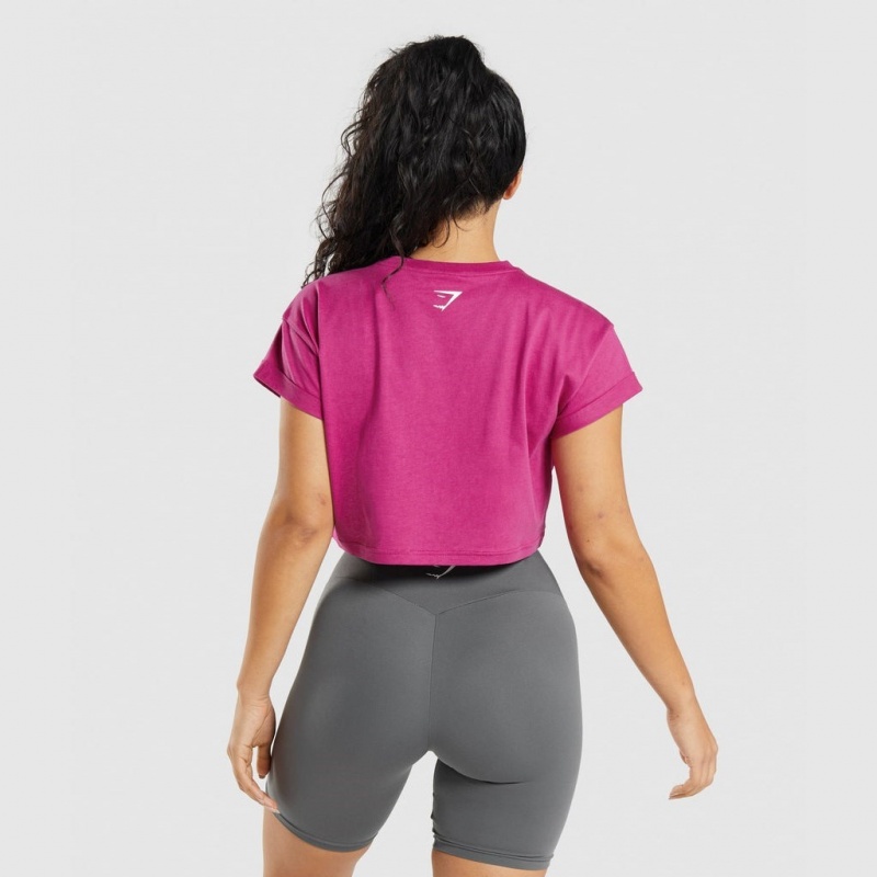 μπλουζακια Gymshark Fraction Crop ροζ | 625OCLISD