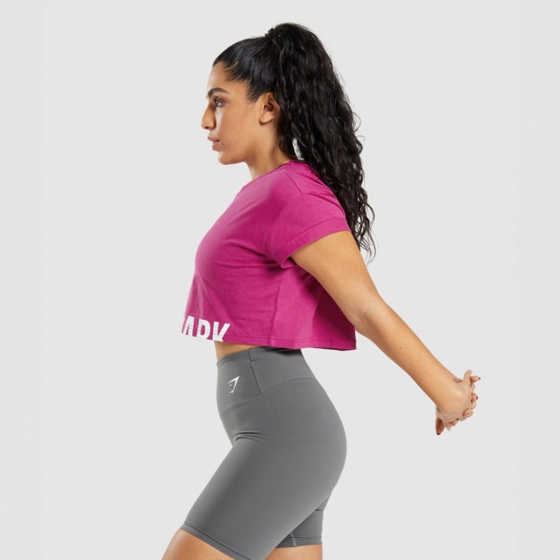 μπλουζακια Gymshark Fraction Crop ροζ | 625OCLISD