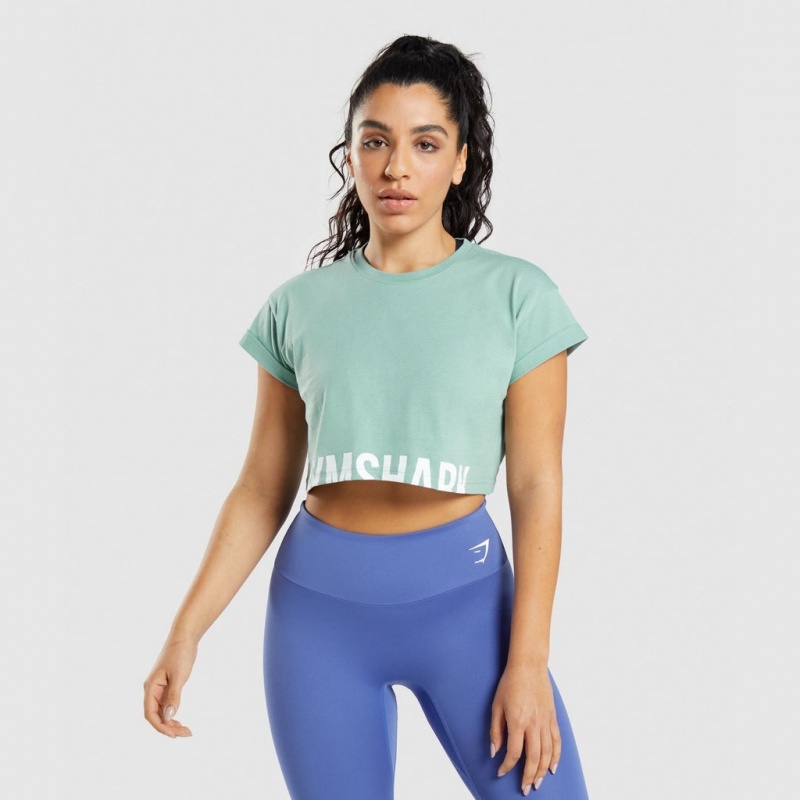 μπλουζακια Gymshark Fraction Crop μπλε | 718REUWCV