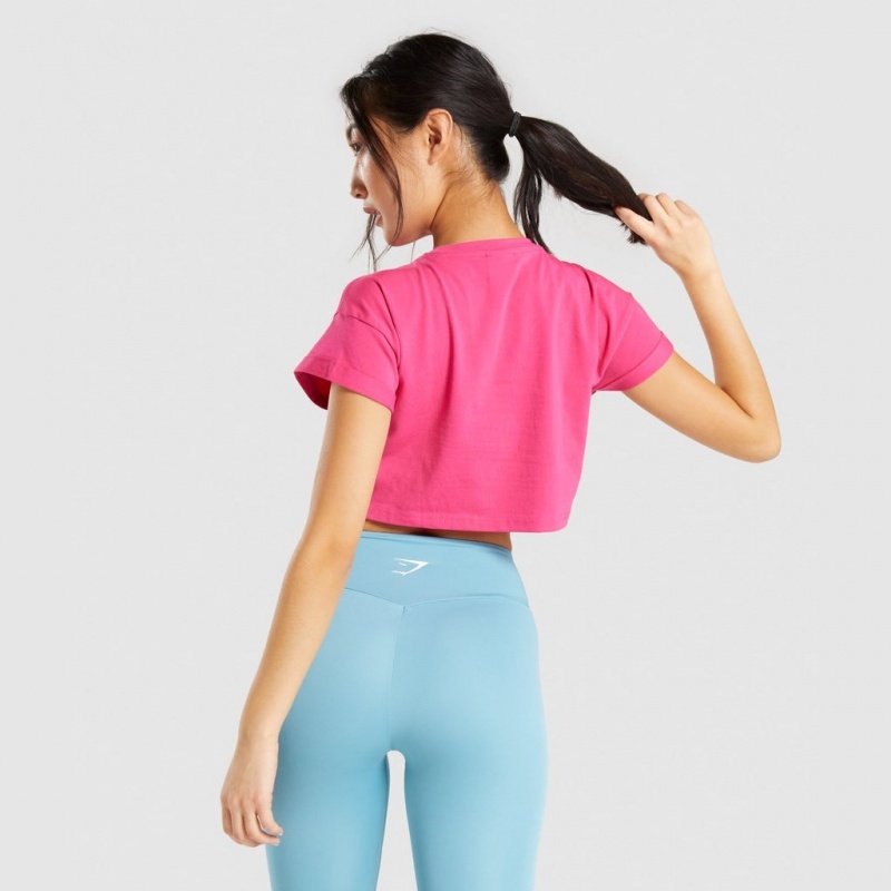 μπλουζακια Gymshark Fraction Crop ροζ | 769KHUVPL