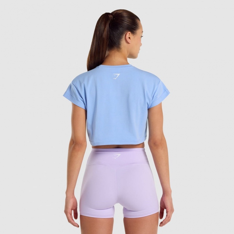 μπλουζακια Gymshark Fraction Crop ανοιχτο μπλε | 347QNWTUG