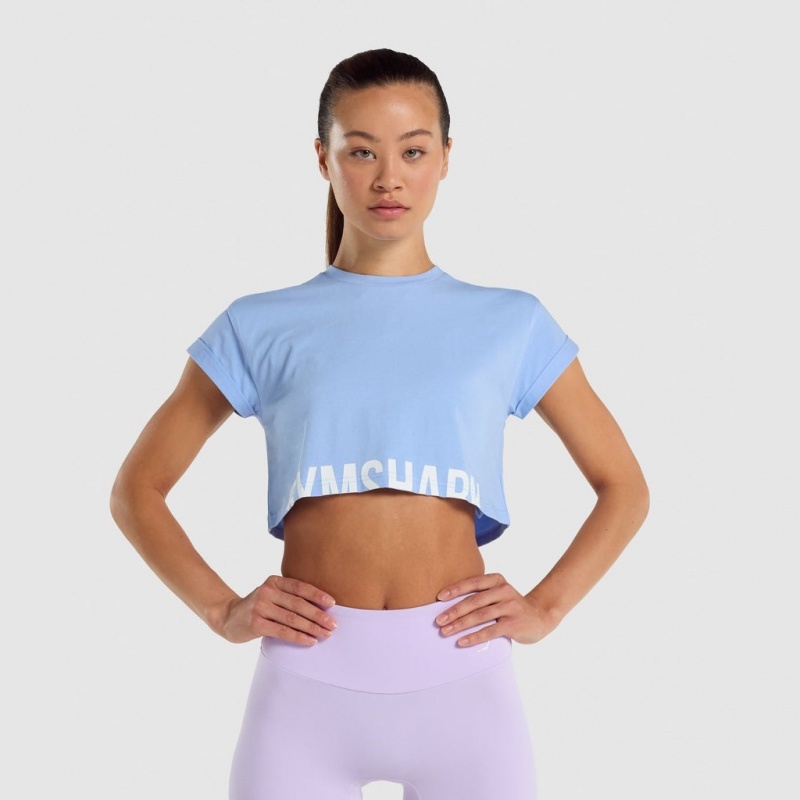 μπλουζακια Gymshark Fraction Crop ανοιχτο μπλε | 347QNWTUG